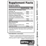 Apollon Nutrition Molotov