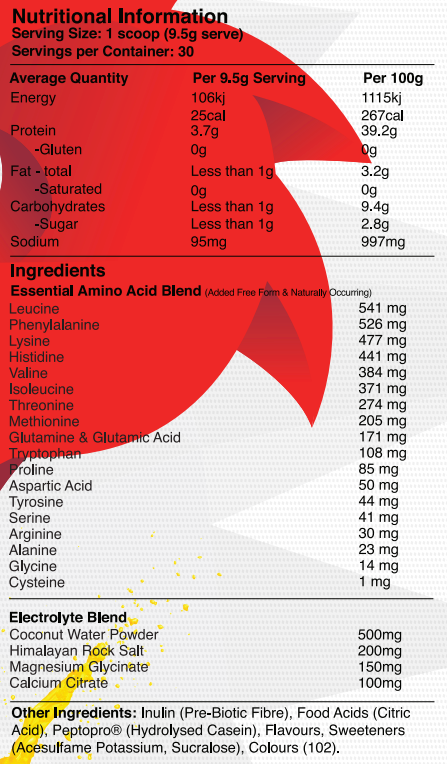 Red Dragon Nutritionals Fuel Aminos