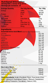 Red Dragon Nutritionals Fuel Aminos